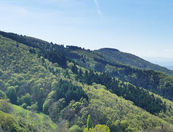 Massif du Beaujolais